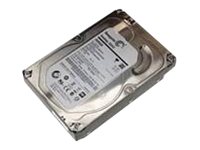 Lenovo Festplatte - 2 TB - intern - 3.5 (8.9 cm)