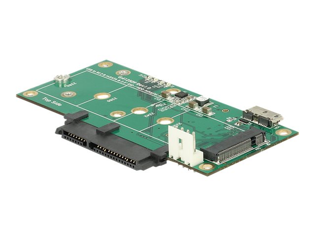 Delock - Speicher-Controller - mSATA, M.2 - M.2 Card / SATA 6Gb/s / mSATA - 6 Gbit/s - USB 3.1 (Gen 2)