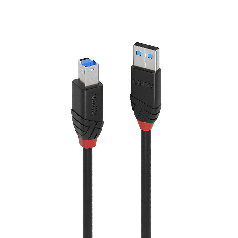Lindy USB-Kabel - USB Typ A (M) zu USB Type B (M), Ansicht 2