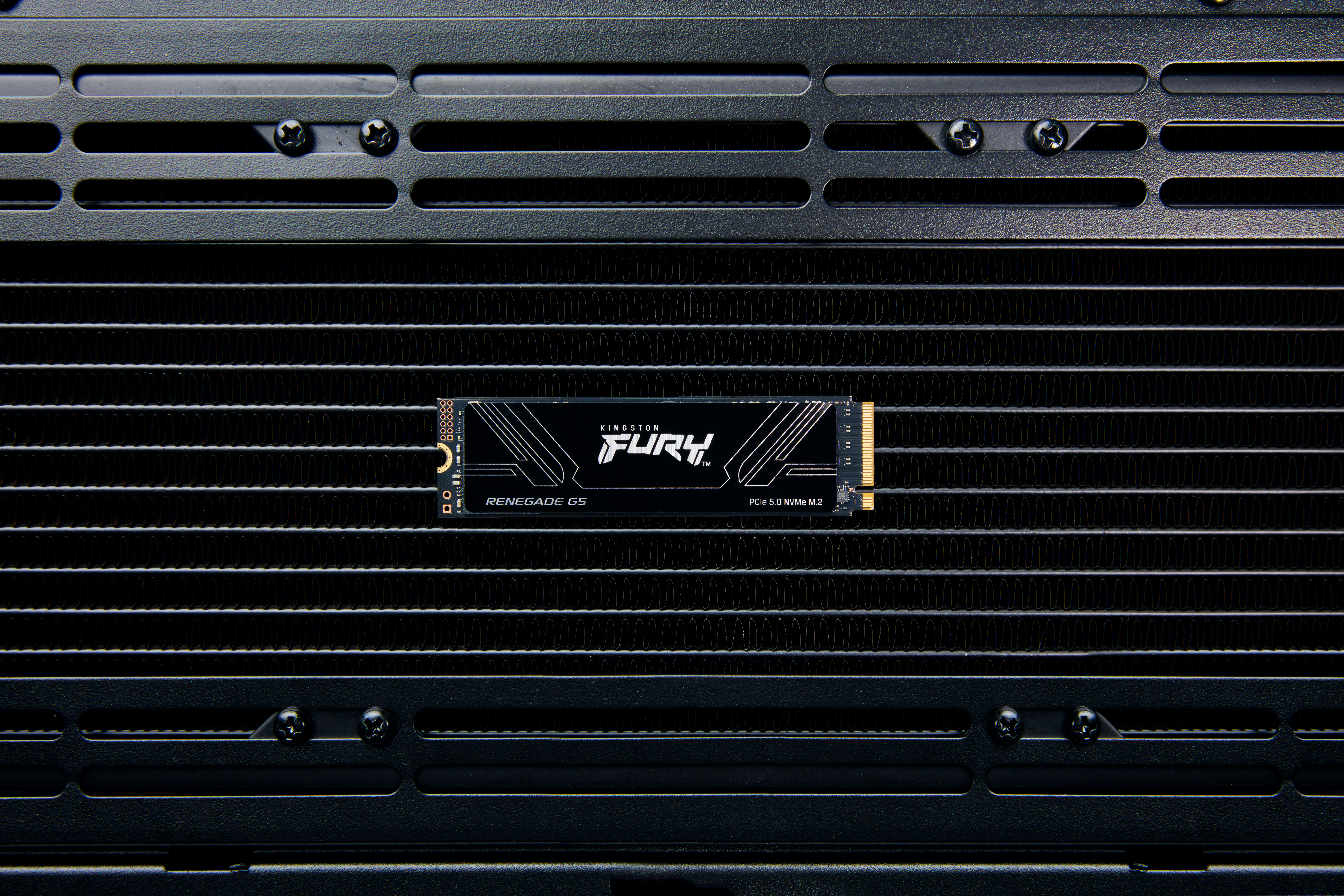Kingston FURY Renegade G5 - SSD - 2 TB - intern - M.2 2280 - PCI Express 5.0 x4 (NVMe), Ansicht 3