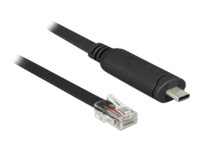 Delock Serieller Adapter - USB-C - RS-232 x 1