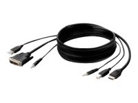 BELKIN DVI TO HDMI/USB/AUD CBL (F1DN1CCBL-DH6T)