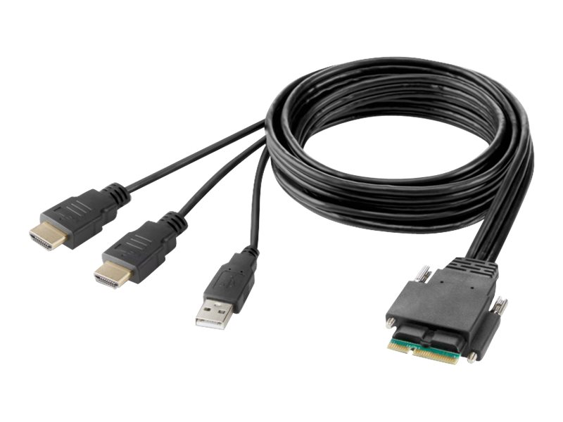 Belkin Modular Dual Head Host Cable - Video- / USB- / Audio-Kabel - TAA-konform - USB, HDMI (M) - 1.83 m - 4K Unterstützung, aktiv