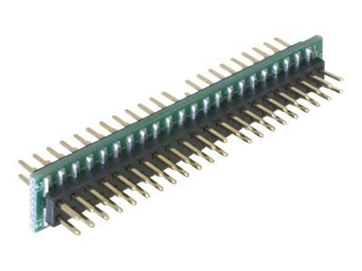 Delock Adapter 44 pin IDE male > 44 pin IDE male - IDE interner Buchse-/Steckerwandler - IDC 44-polig zu IDC 44-polig
