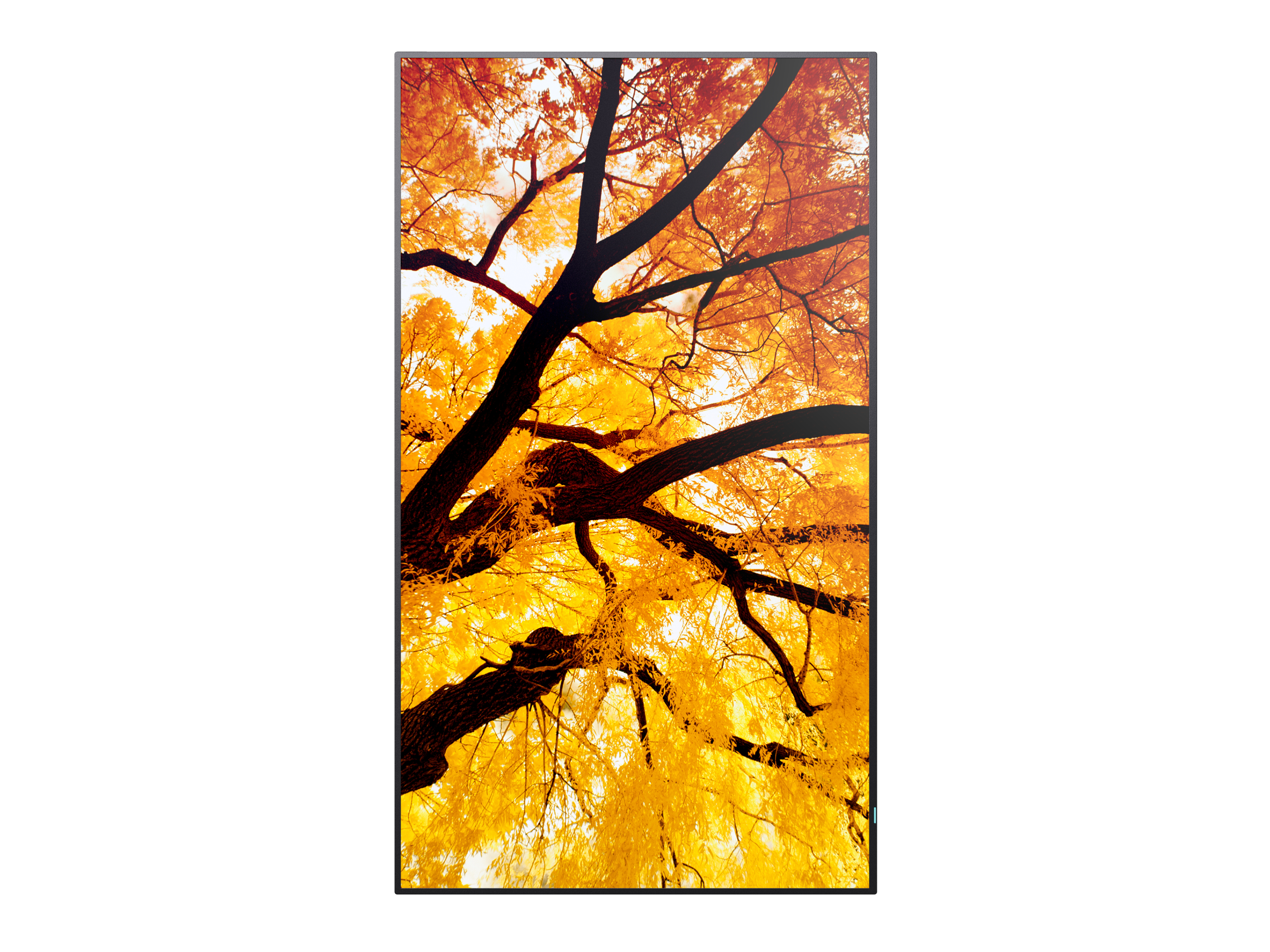 Sharp MultiSync PN-M982 - Interaktiver Flachbildschirm - 2,48 m (97.5) - LED - 3840 x 2160 Pixel - 24/7, Ansicht 3