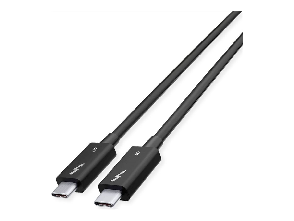 ROLINE Thunderbolt-Kabel - USB-C (M) zu USB-C (M)