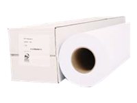 Océ PPC Plus Paper LFM025N - Rolle A1 (59,4 cm x 175 m) - 75 g/m² - 2 Rolle(n) Normalpapier