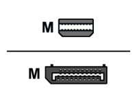 AMD MINI-DISPLAYPORT TO DISPLAYPOR (199-999365)