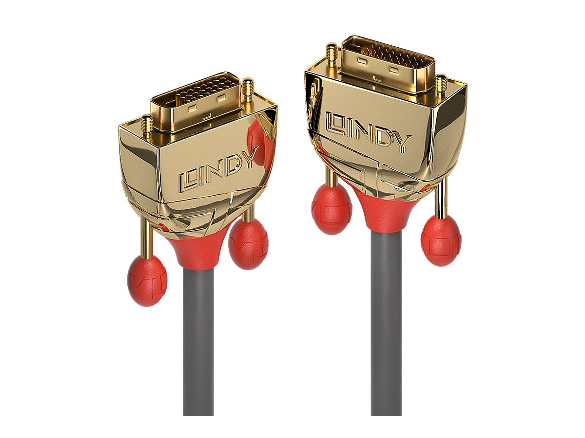 Lindy Gold - DVI-Kabel - Dual Link - DVI-D (M)