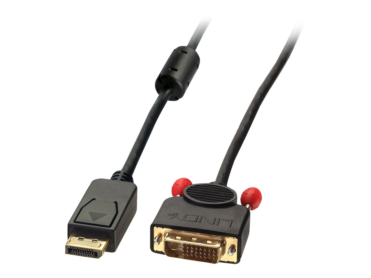 Lindy - Videokabel - DisplayPort (M) zu DVI-D (M) - 50 cm - Daumenschrauben - Schwarz