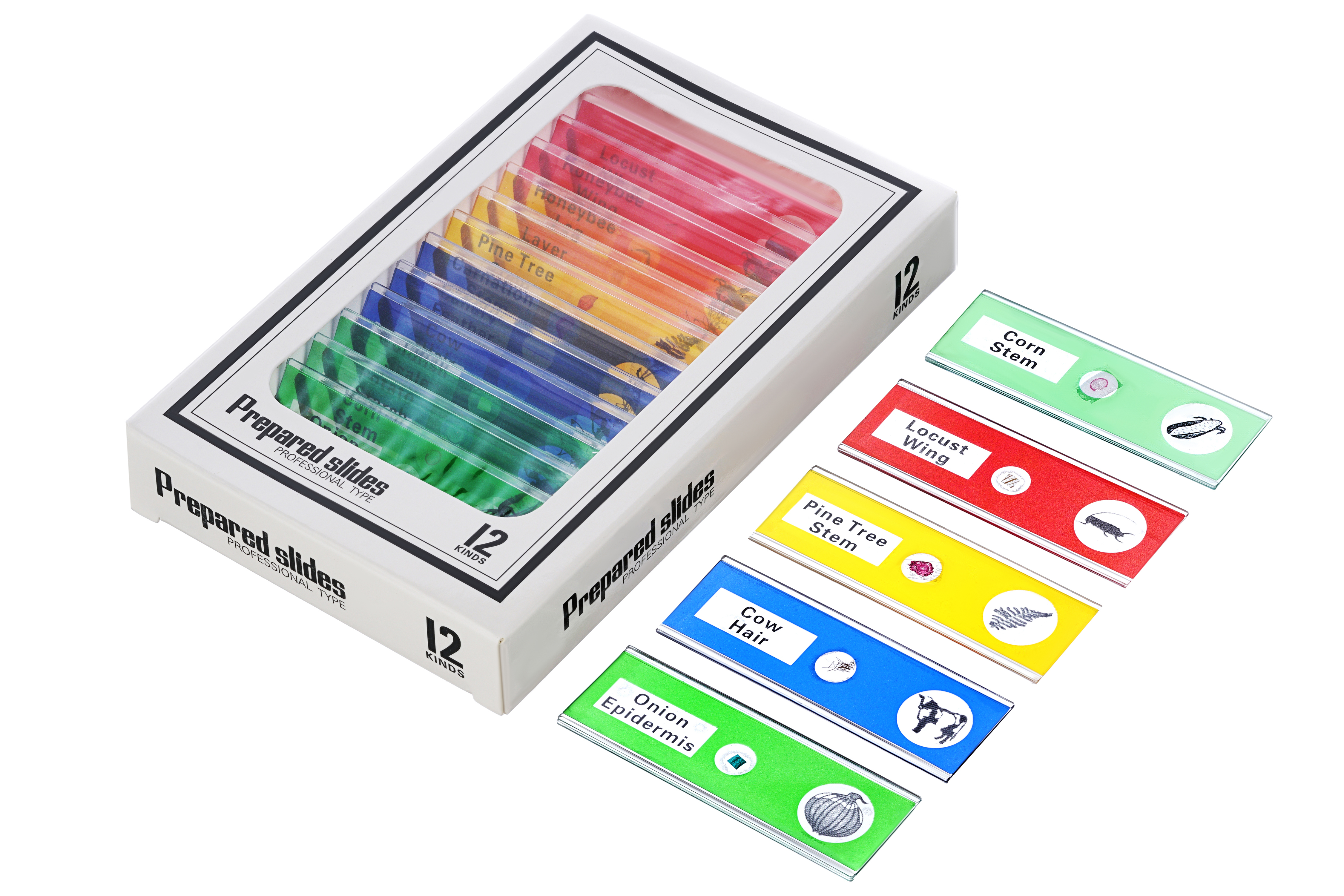 Levenhuk LabZZ DM200 - Digitales Mikroskop - Grün - Kunststoff - LCD - 10,9 cm (4.3") - 0 - 83 mm, Ansicht 4