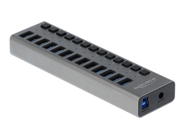 Delock Externer SuperSpeed USB Hub mit 13 Ports + Schalter