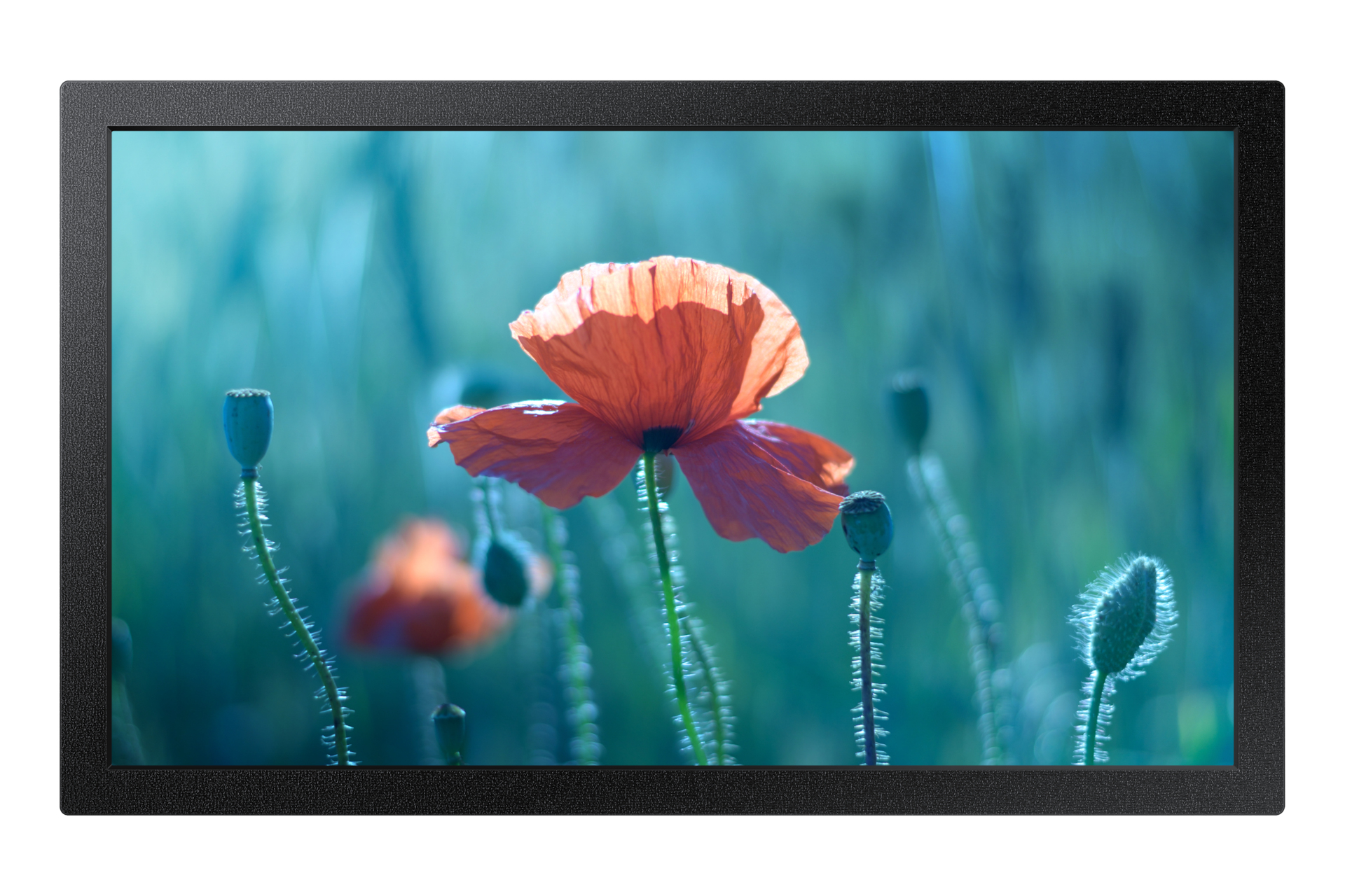 Samsung QB13C - 33 cm (13) Diagonalklasse LCD-Display mit LED-Hintergrundbeleuchtung, Ansicht 2