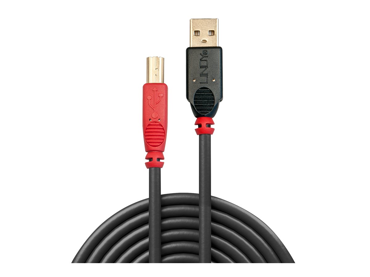 Lindy USB-Kabel - USB (M) zu USB Typ B (M)