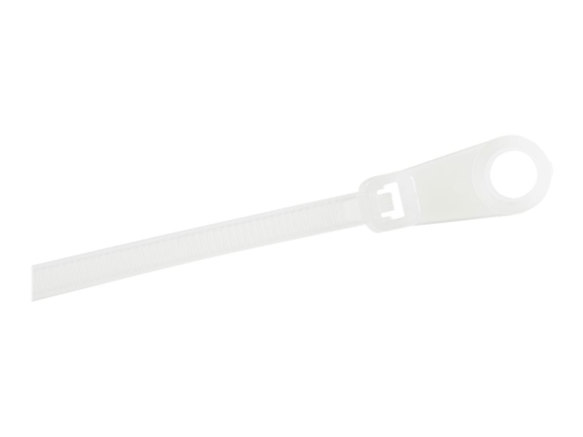 StarTech.com Kabelbinder mit Öse - 100x2 mm, weiß, 100 Stück - Kabelbinder - 10.16 cm - weiß - TAA-konform (Packung mit 100)
