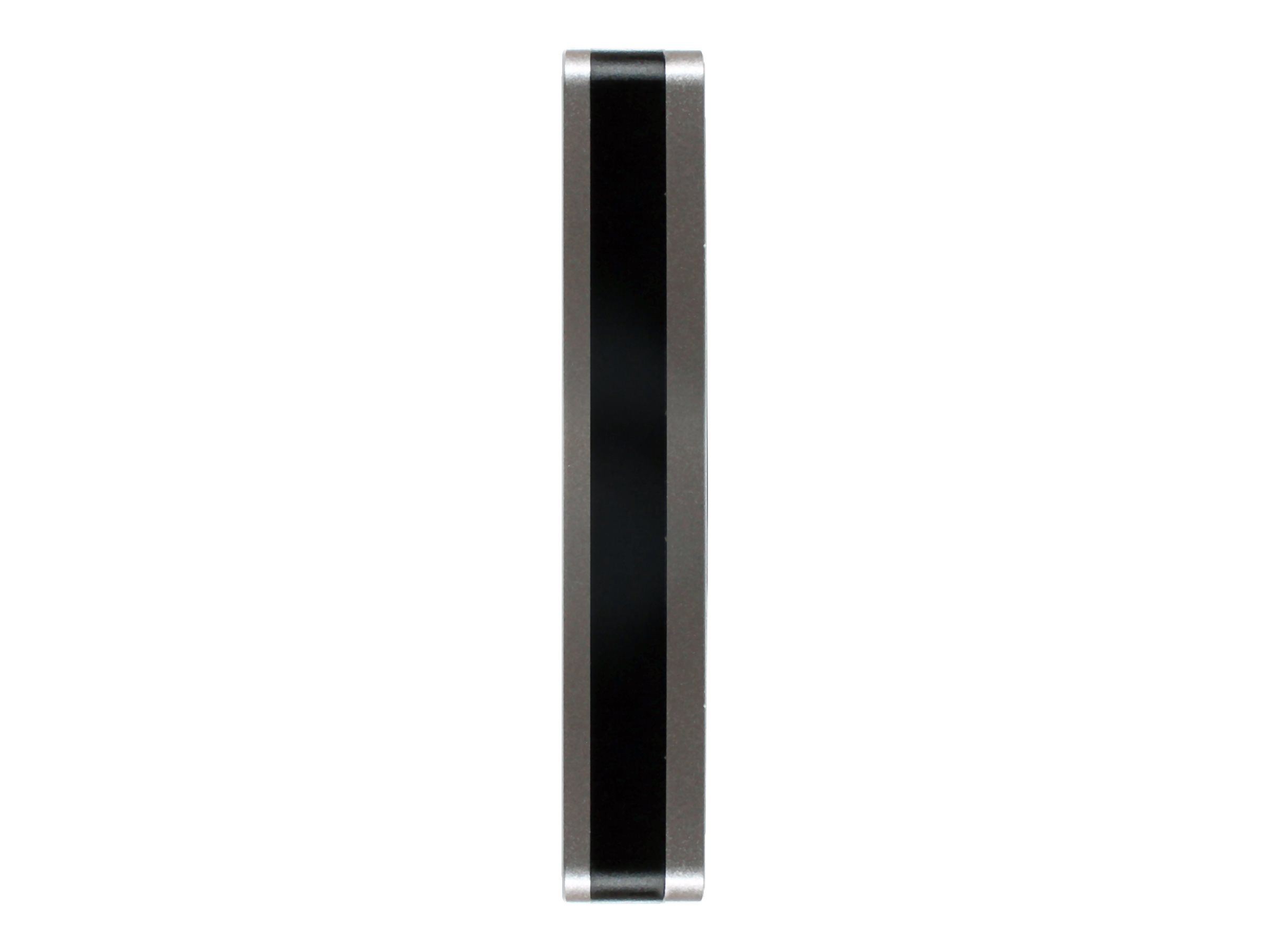 Origin Storage DataLocker DL4 FE - Festplatte - verschlüsselt - 2 TB - extern (tragbar)