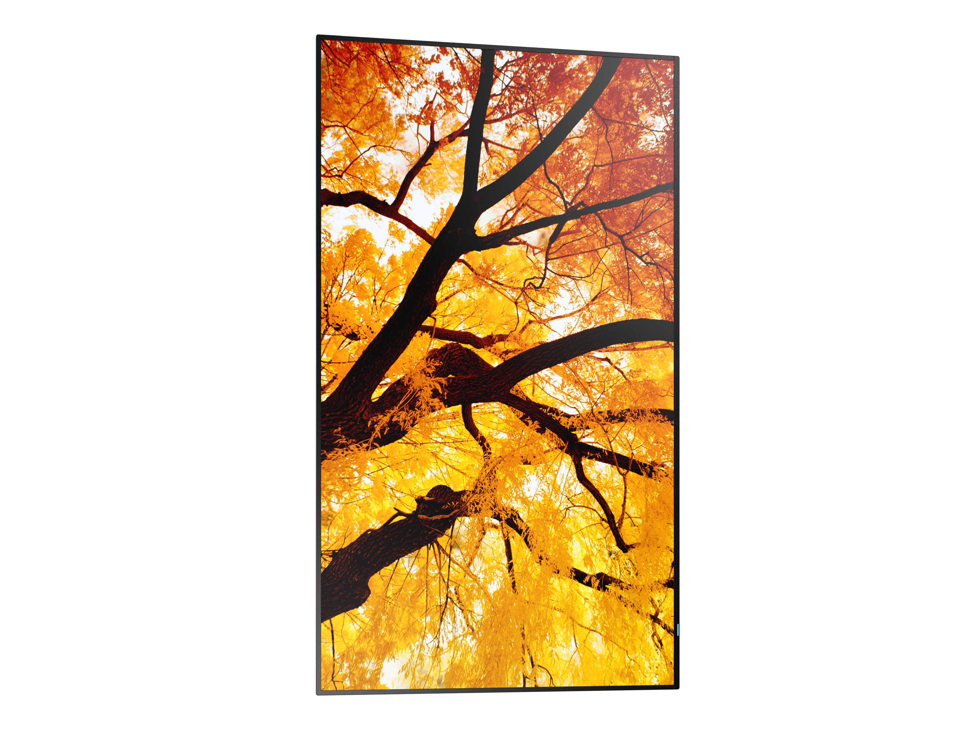 Sharp MultiSync PN-M982 - Interaktiver Flachbildschirm - 2,48 m (97.5) - LED - 3840 x 2160 Pixel - 24/7, Ansicht 4