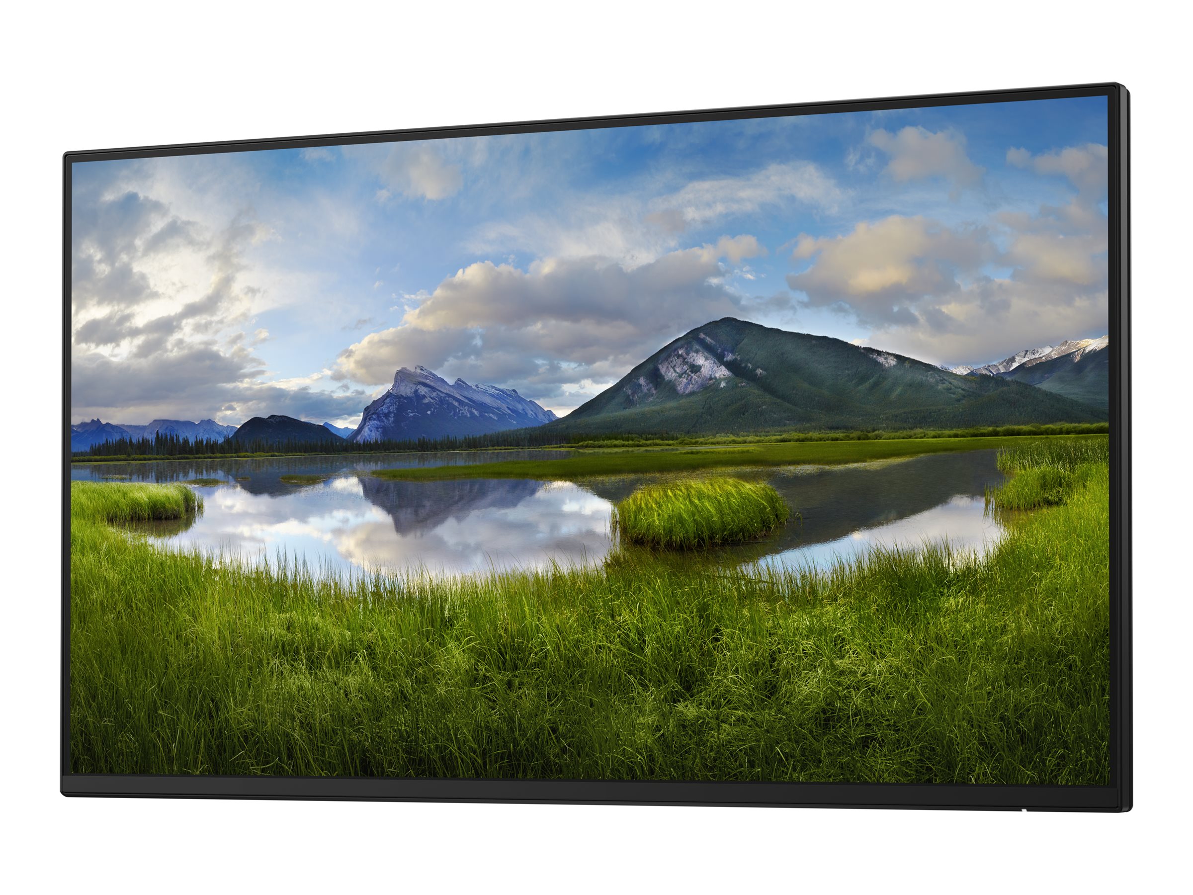 Dell P2425H - LED-Monitor - 61 cm (24") (23.81" sichtbar)