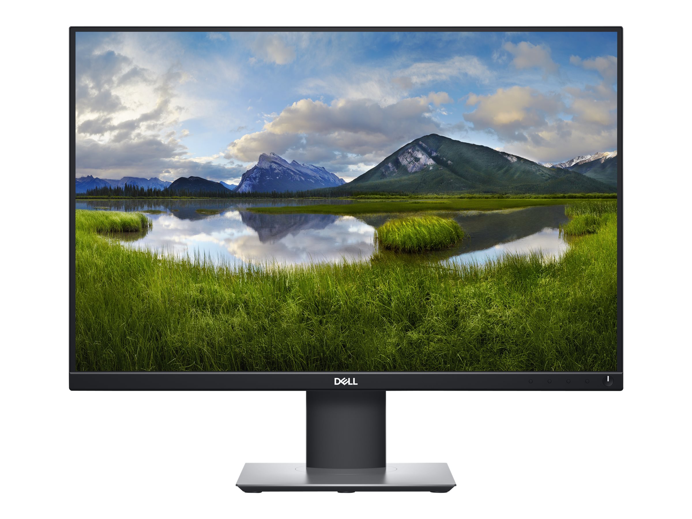 Dell P2421 - LED-Monitor - 61.13 cm (24.1") (24.1" sichtbar)