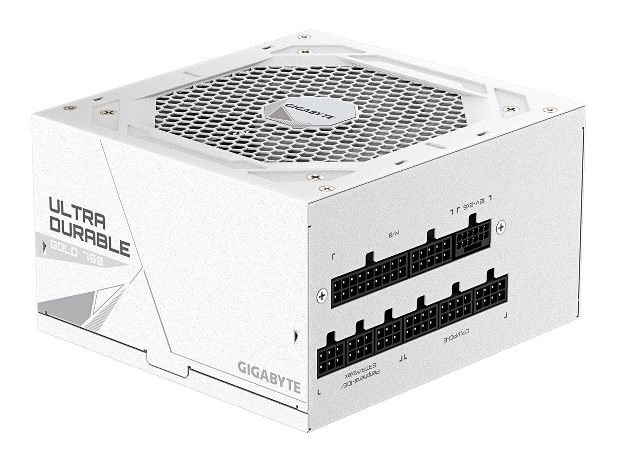 Gigabyte UD750GM PG5 V2 ICE - Netzteil (intern), Ansicht 5