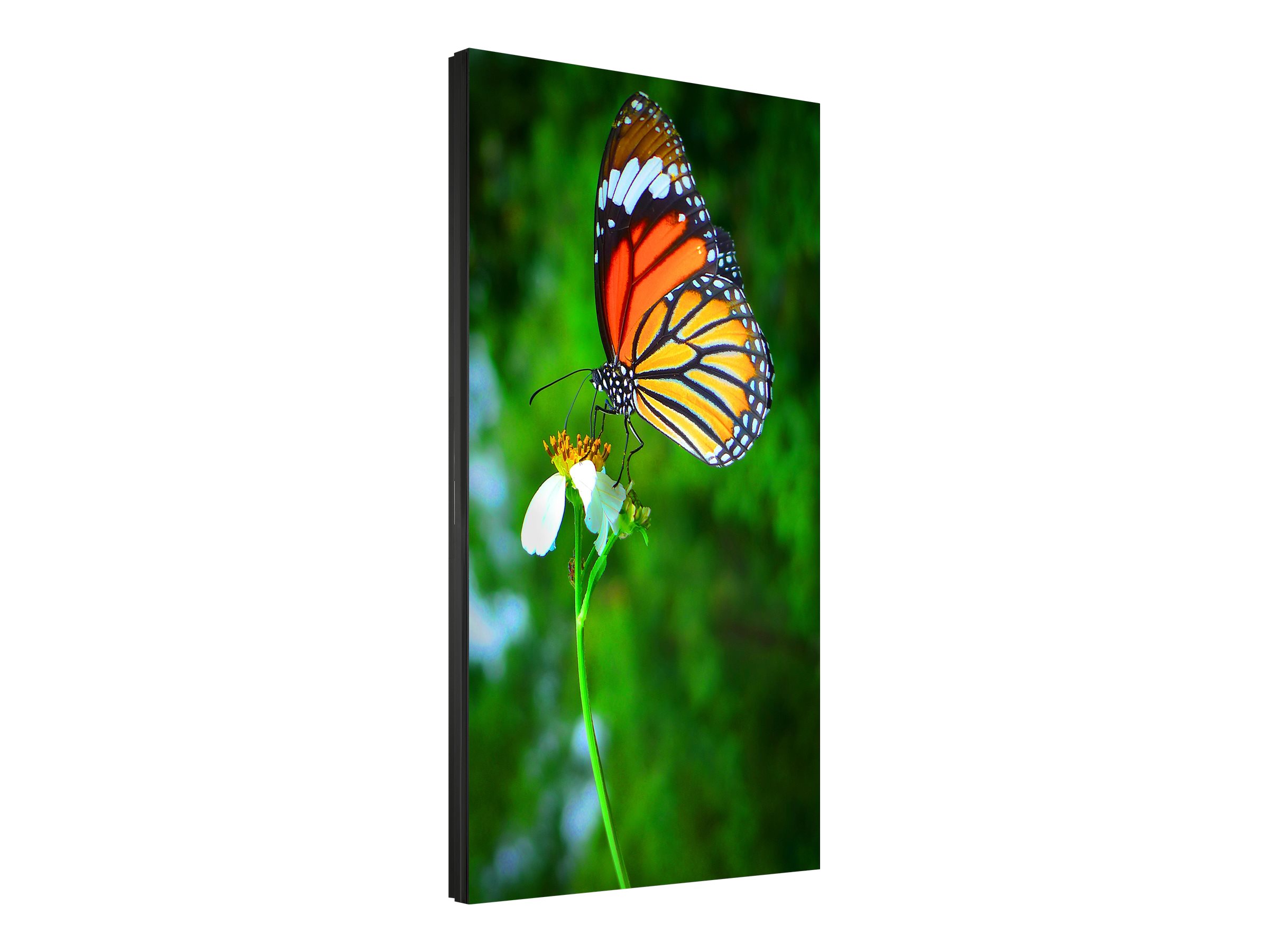 NEC Display MultiSync UN552S - 139.7 cm (55) Diagonalklasse LCD-Display mit LED-Hintergrundbeleuchtung
