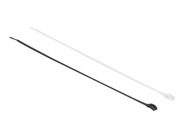 Delock - Kabelbinder - mit flachem Kopf - 15 cm - Schwarz, durchsichtig (Packung mit 100)