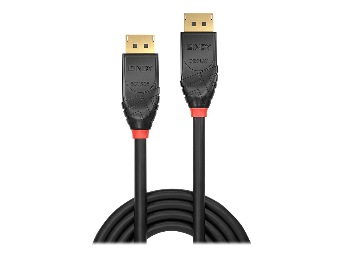 Lindy - DisplayPort-Kabel - DisplayPort (M) zu DisplayPort (M) - DisplayPort 1.2 - 10 m - halogenfrei, rund, 4K Unterstützung