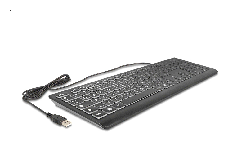 Delock USB Tastatur kabelgebunden 1.5 m schwarz mit XXL Buchstaben und - TL: Deutsch, QWERTZ, Ansicht 2