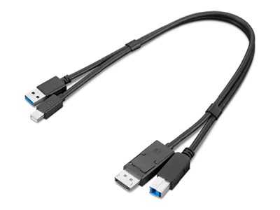 Lenovo Dual Head - Display  USB Kabelset - USB Typ A DisplayPort (M)