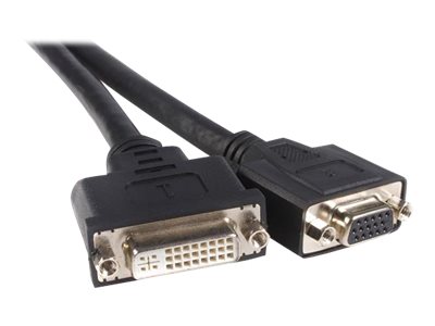 StarTech.com 20cm LFH 59 Stecker auf DVI-I VGA DMS 59 Buchse Kabel - DMS zu VGA Adapter - DMS-59  VGA Y-Kabel - Videokabel - Dual Link - DMS-59 (M)
