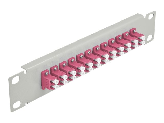 Delock Patch Panel - LC Duplex MM X 12 - Grau - 1U - 25.4 cm (10)