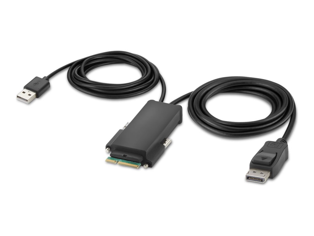 Belkin Secure Modular DP Single Head Host Cable - DisplayPort-Kabel - TAA-konform - 1.83 m - 4K Unterstützung, aktiv