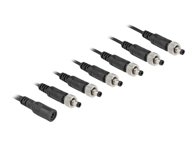 Delock Netz-Splitter - Gleichstromstecker 55 x 21 mm (W)