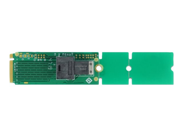 Delock Adapter M.2 Key M to SFF-8643 NVMe 22110