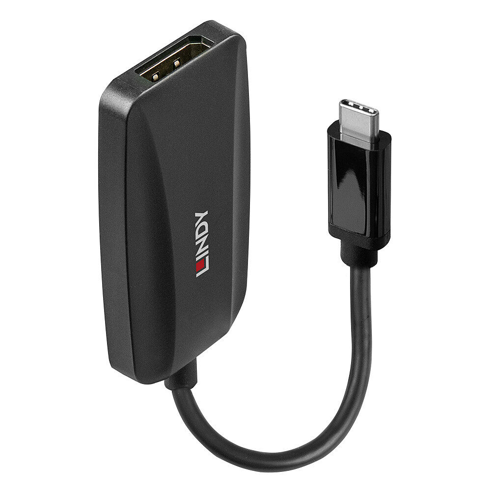 Lindy Videoadapter - 24 pin USB-C (M) zu DisplayPort (W), Ansicht 2