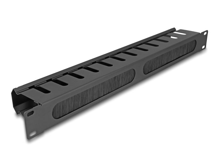 Delock 67069 - 19'' Rangierpanel 2Öffnungen 1 HE schwarz, Ansicht 3