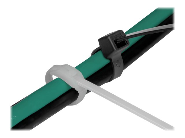 Delock - Kabelbinder - mit flachem Kopf - 28 cm - Schwarz, durchsichtig (Packung mit 100)