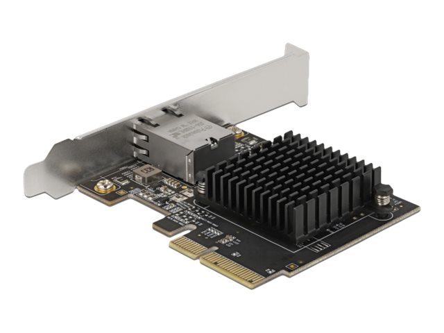 Delock - Netzwerkadapter - PCIe 3.0 x4 Low-Profile - 100M/1G/2.5G/5G/10 Gigabit Ethernet