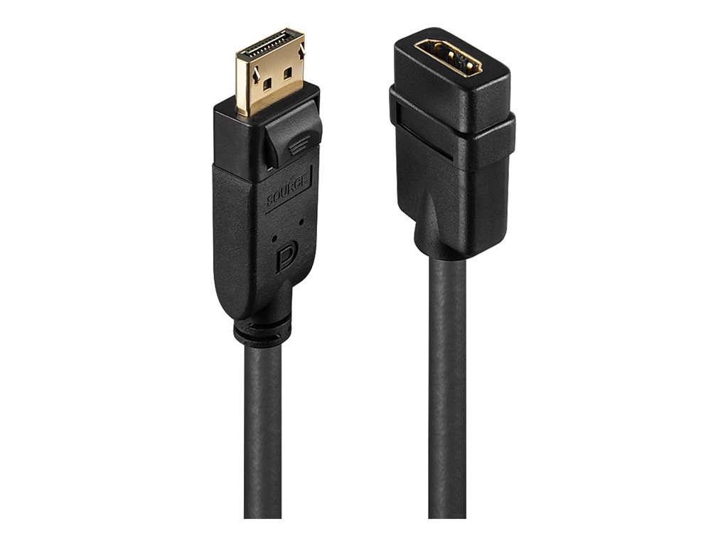 Lindy Videoadapter - DisplayPort männlich zu HDMI weiblich