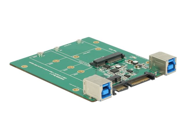 Delock Converter SATA / USB 3.1 type B socket> M.2 / mSATA slot - Speicher-Controller - mSATA, M.2 - M.2 Card / mSATA - SATA 3Gb/s, USB 3.1 (Gen 2)