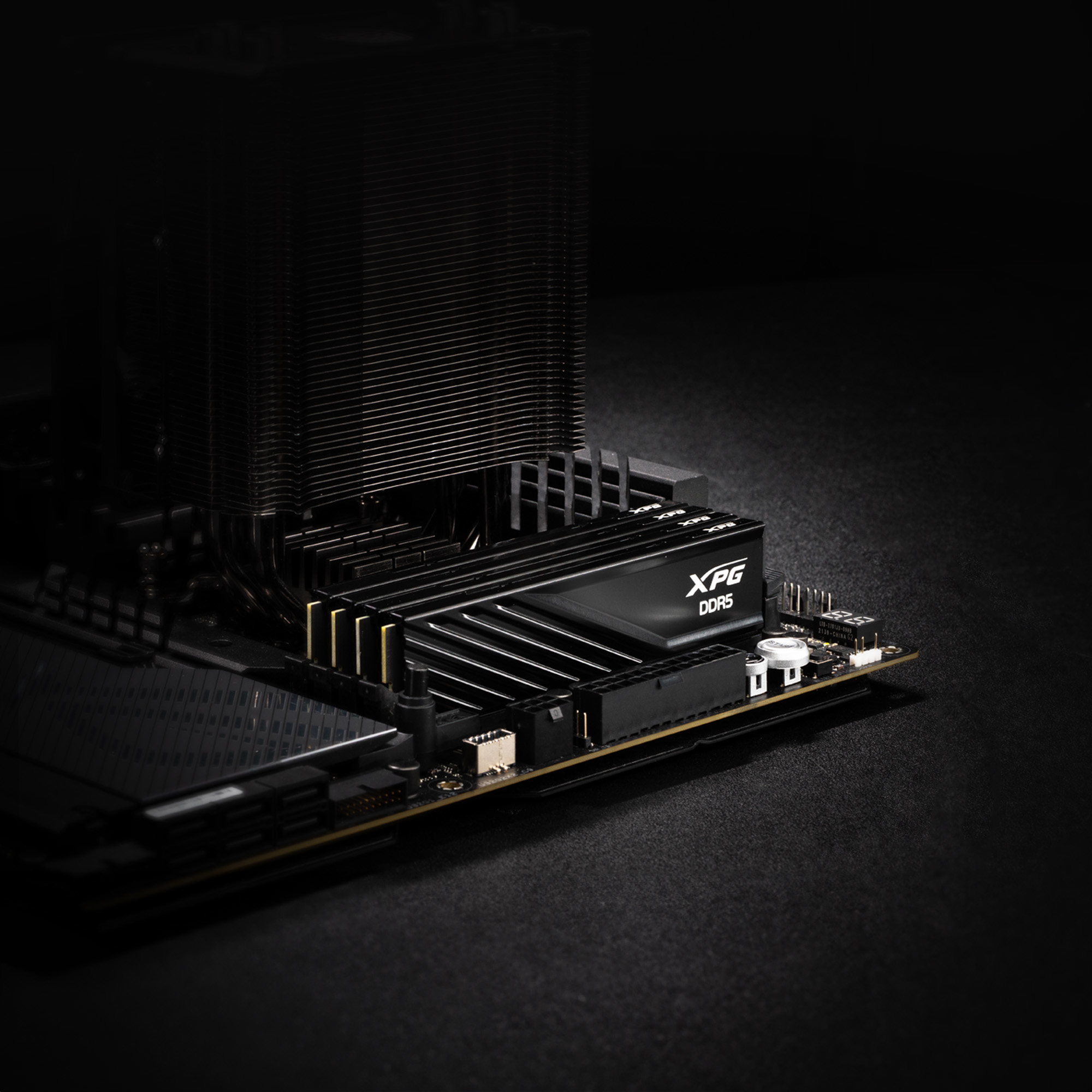 ADATA DIMM DDR5-5600 Dual-Kit schwarz AX5U5600C4616G-DTLABBK XPG - 32 GB - DDR5 (AX5U5600C4616G-DTLABBK) - 32 GB - DDR5, Ansicht 4
