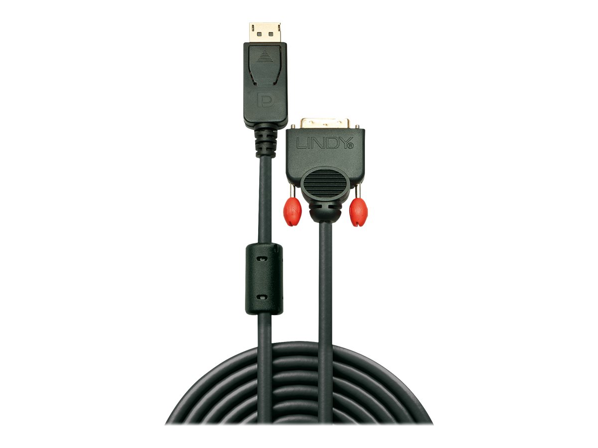 Lindy - Videokabel - DisplayPort (M) zu DVI-D (M) - 50 cm - Daumenschrauben - Schwarz