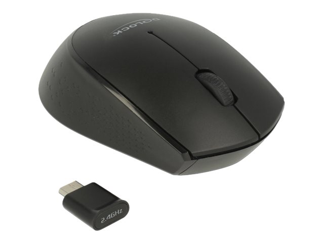 Delock mini - Maus - rechts- und linkshändig - optisch - 3 Tasten - kabellos - 2.4 GHz - kabelloser Empfänger (USB)