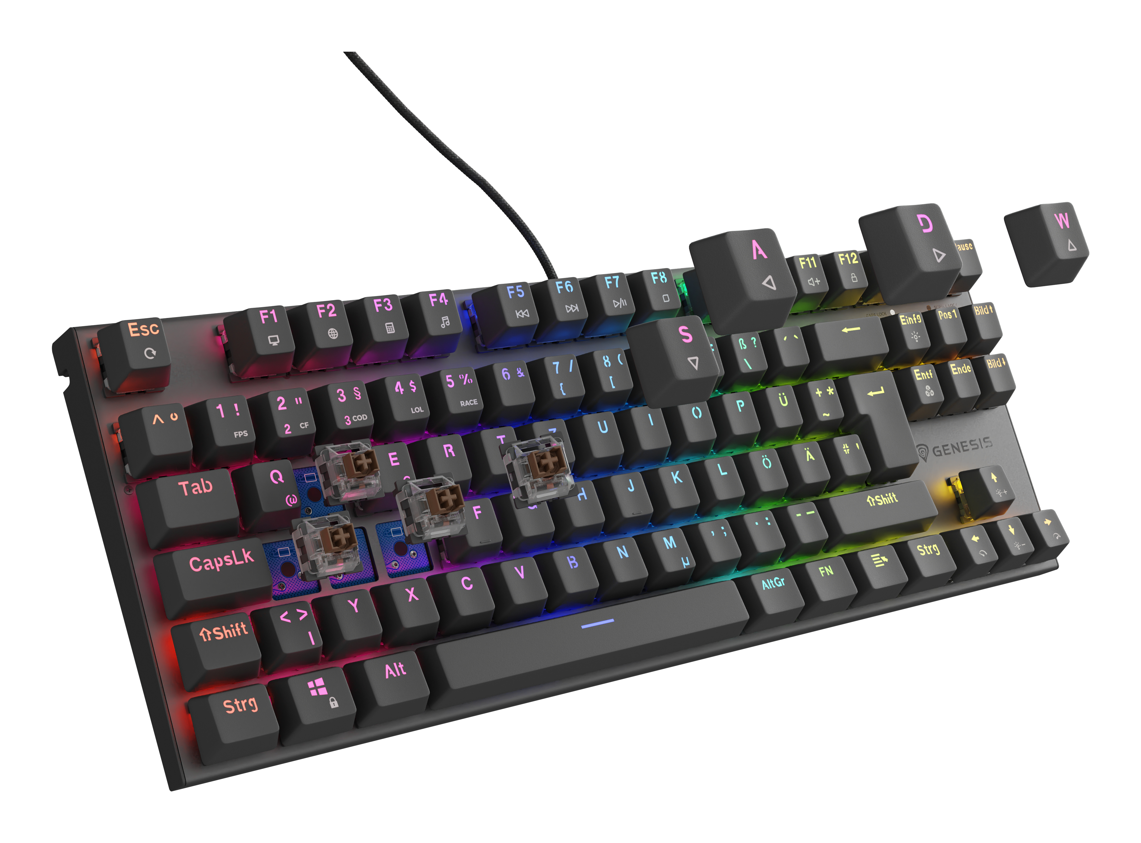natec Gaming Tastatur Thor 303 TKL brown kabelgeb. - Tastatur - TL: Deutsch, QWERTZ, Ansicht 2