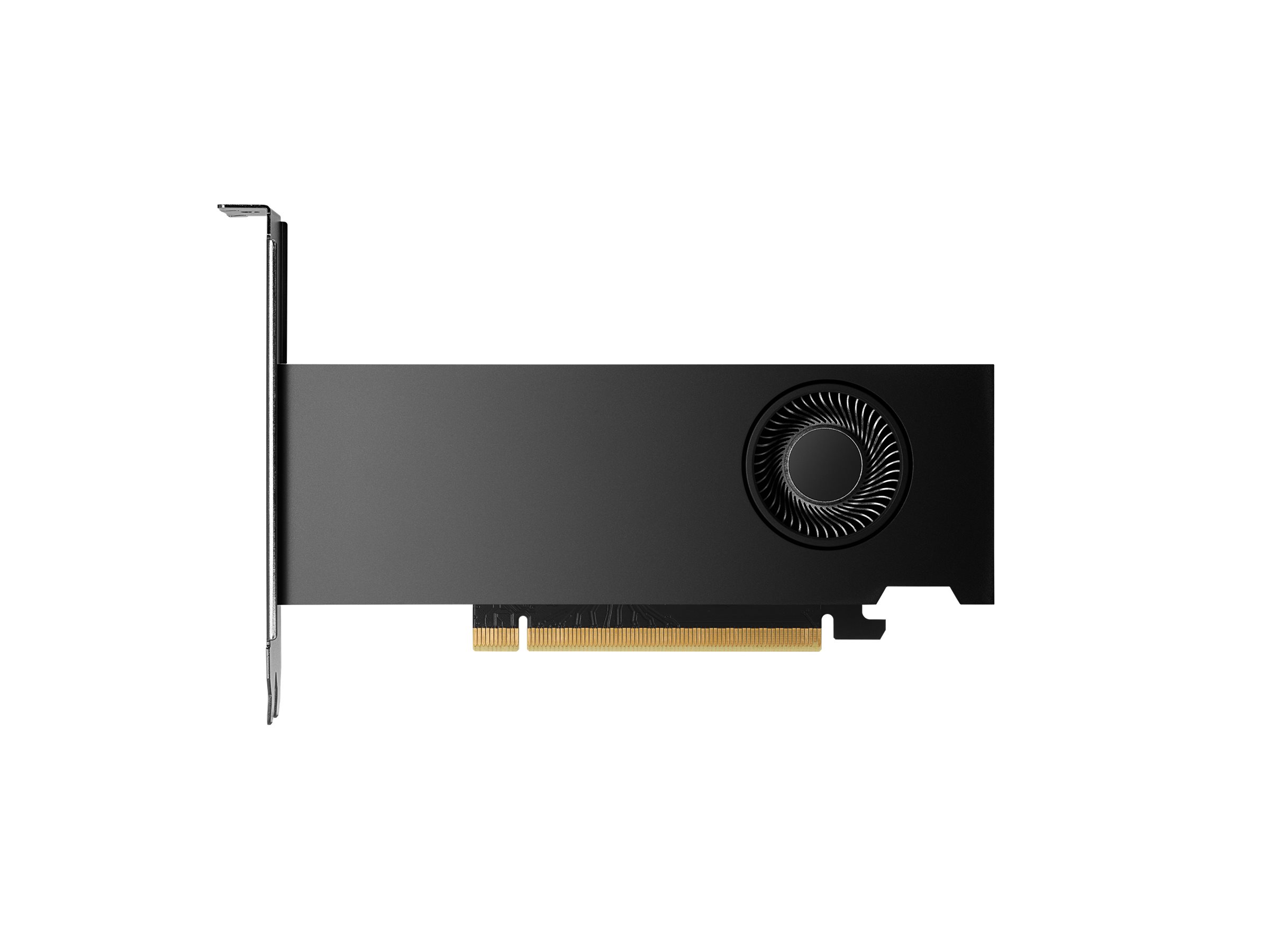 HP NVIDIA RTX 2000 Ada - Grafikkarten - NVIDIA RTX 2000 Ada