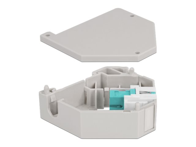 Delock Keystone Jack-DIN-Adapter für Schienenmontage