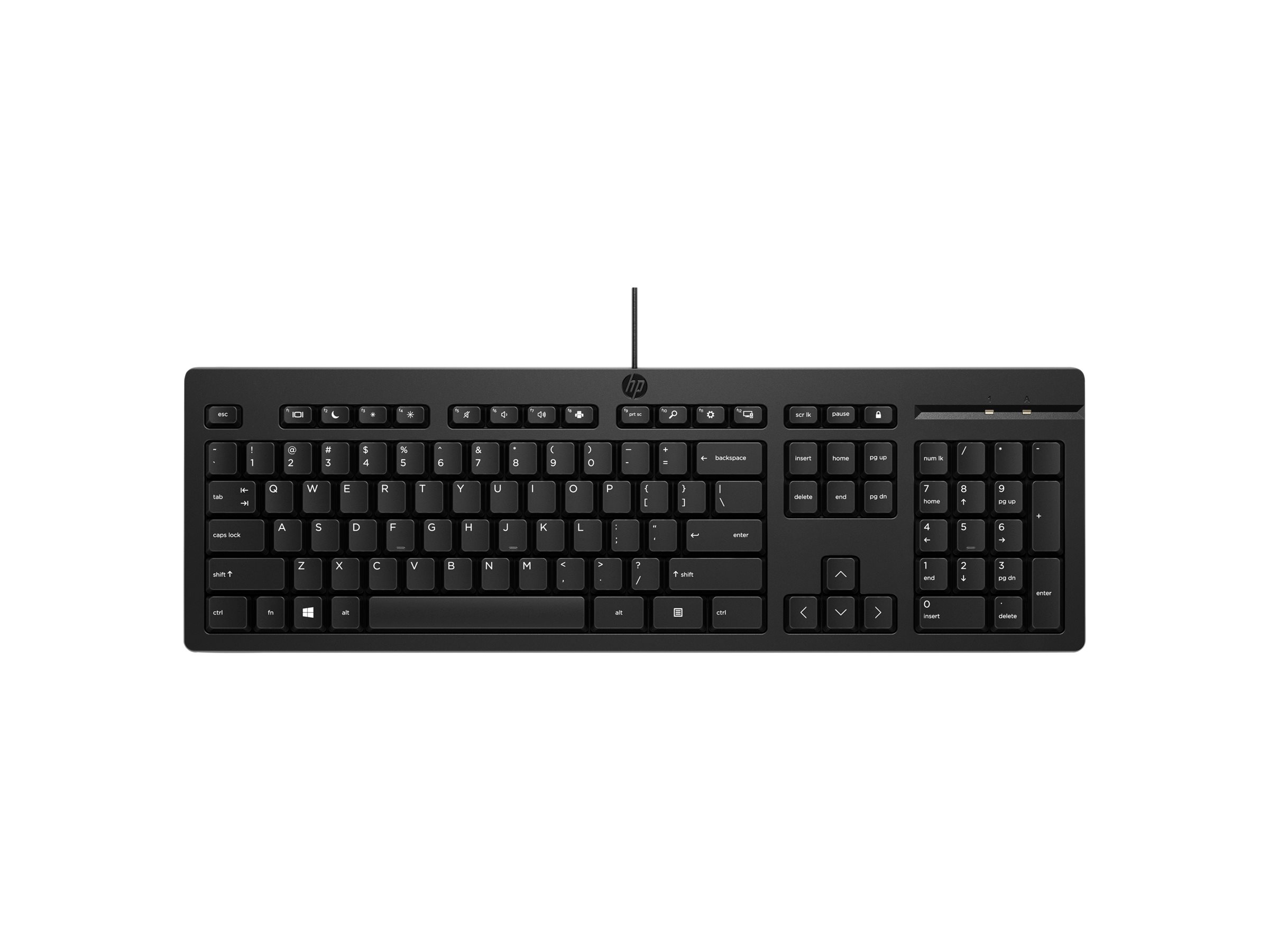 HP 125 - Tastatur - USB - TL: Ukrainisch, QWERTY, Ansicht 3