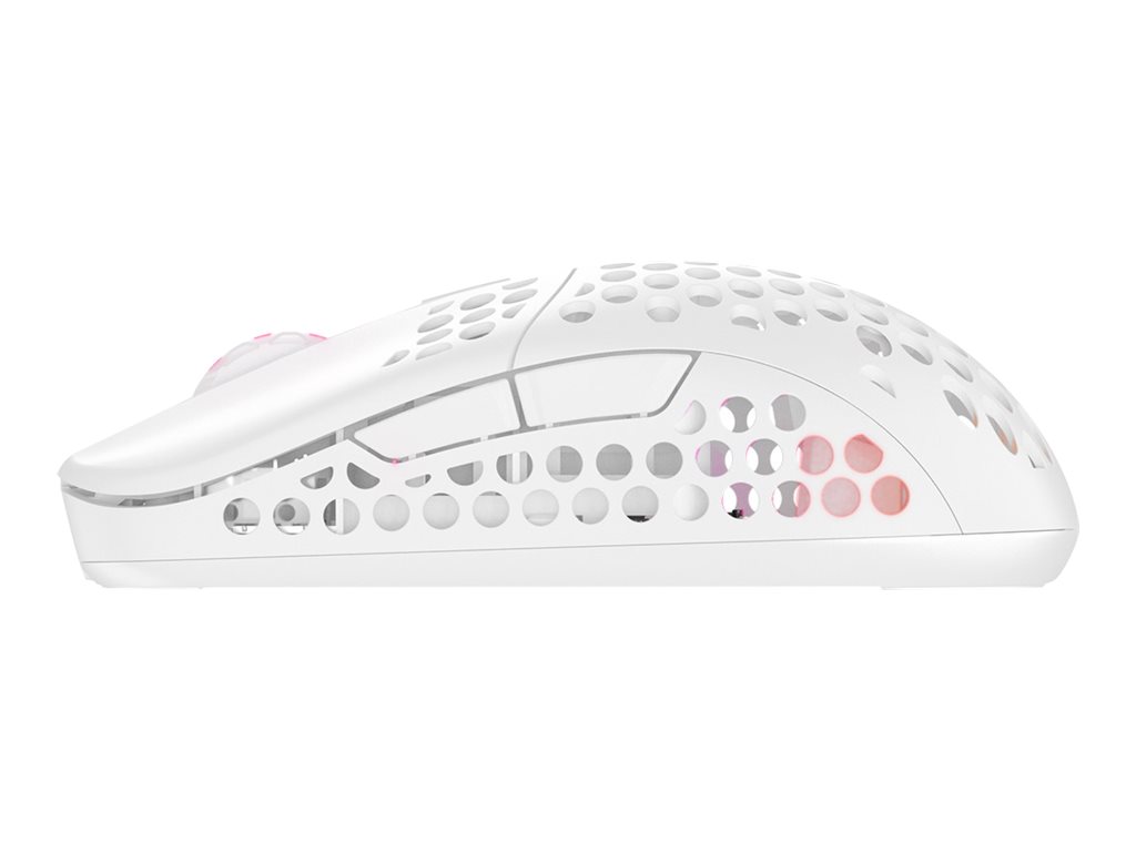 Cherry Xtrfy M42 - Maus - optisch - kabellos - 2.4 GHz - kabelloser Empfänger (USB)