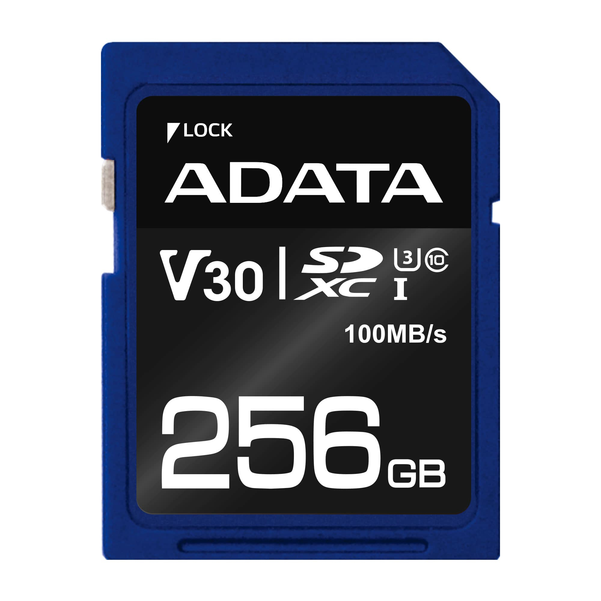 ADATA Premier Pro - Flash-Speicherkarte - 256 GB, Ansicht 2