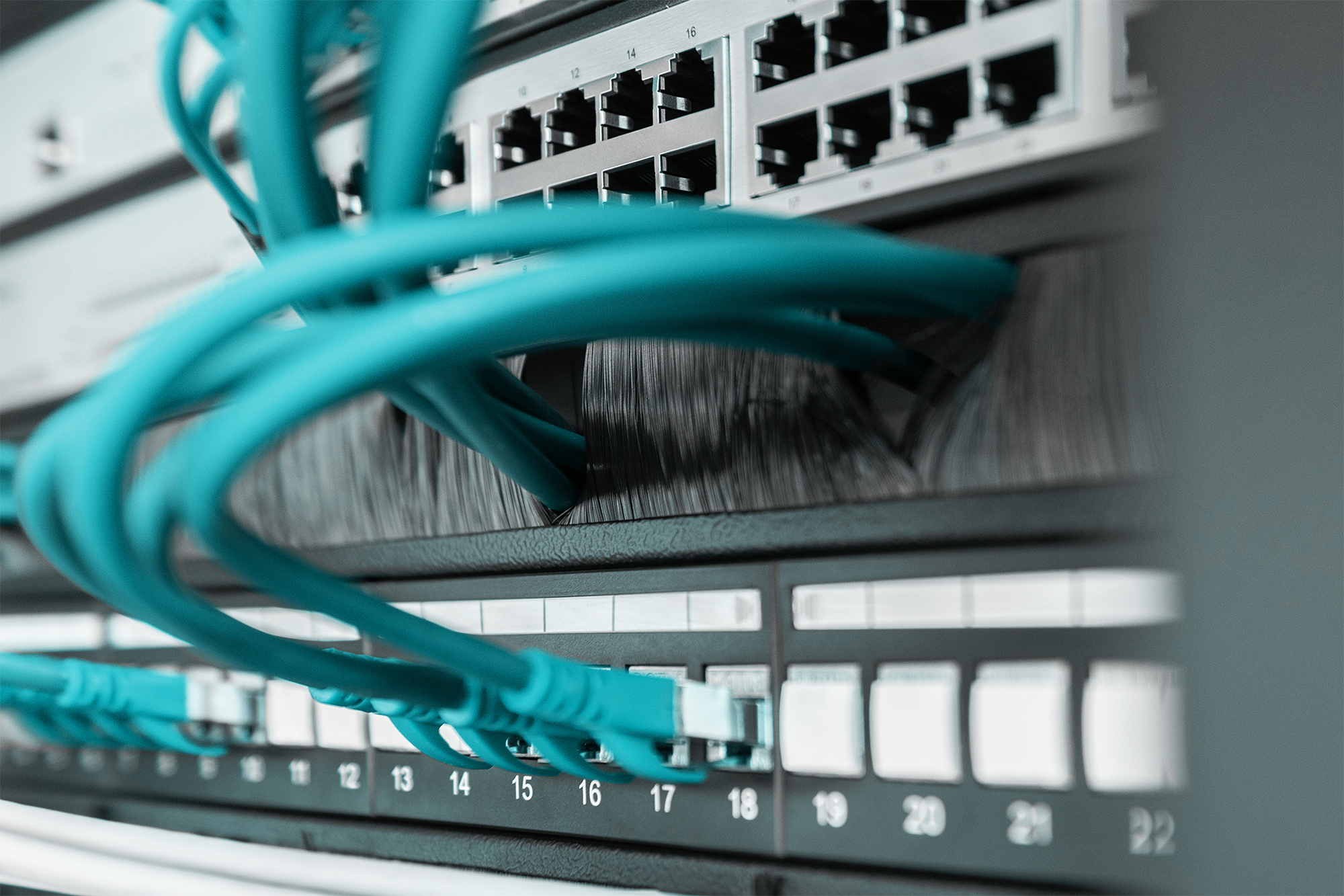 DIGITUS Kabelbürstenleiste für 483 mm (19)-Schränke, Ansicht 3